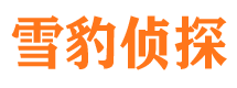 宜丰找人公司